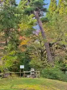 蚊里田八幡宮(長野県)(2024年11月03日(日) 18時50分05秒投稿)