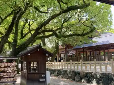 熱田神宮(愛知県)