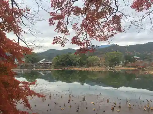 大覚寺の景色