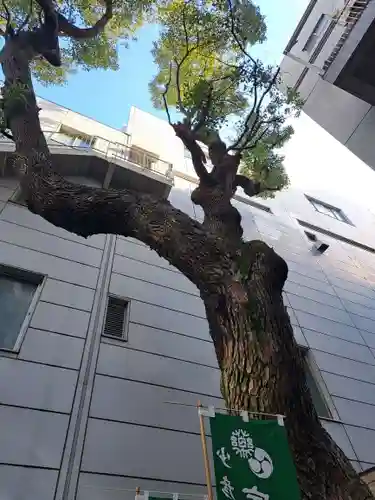 少彦名神社(大阪府)