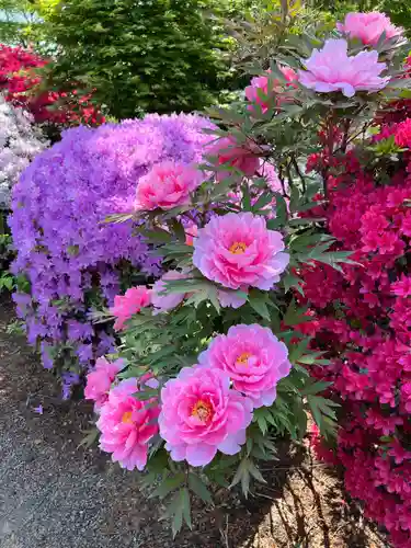 神炊館神社 ⁂奥州須賀川総鎮守⁂(福島県)