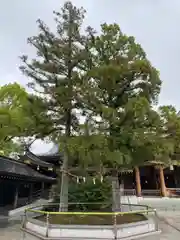 寒川神社(神奈川県)