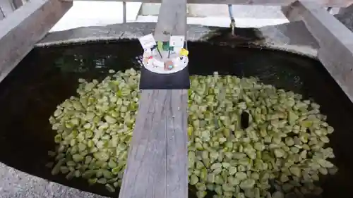 甲斐國一宮 浅間神社(山梨県)