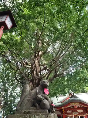 永福稲荷神社の狛犬