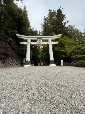 宝登山神社(埼玉県)