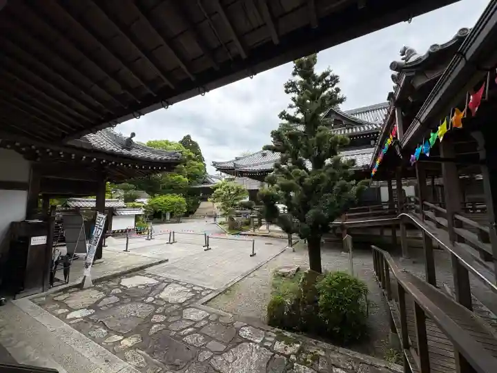 西教寺の{uncategorized: "未分類", other: "その他", undefined: "問題あり", building: "その他建物", grave: "お墓", sacred_gate: "鳥居", guardian: "狛犬", statue: "像", buddha: "仏像", history: "歴史", nature: "自然", garden: "庭園", animal: "動物", pagoda: "塔", temizu: "手水舎", mountain_gate: "山門・神門", sanctuary: "本殿・本堂", subordinate: "末社・摂社", art: "芸術", scenery: "景色", jizo: "地蔵", ema: "絵馬", goshuin: "御朱印", omikuji: "おみくじ", items: "授与品その他", amulet: "お守り", goshuincho: "御朱印帳", eats: "食事", festival: "お祭り", votive_dance: "神楽", shichigosan: "七五三参", wedding: "結婚式", experience: "体験その他", initially: "初詣", around: "周辺", anti_infection: "感染症対策"}