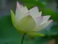 極楽山 浄土寺(北海道)