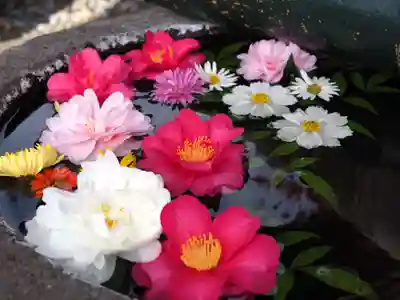 今市報徳二宮神社の手水舎