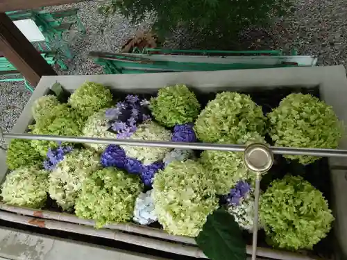 雀宮神社(栃木県)