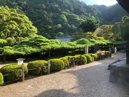 善峯寺の庭園