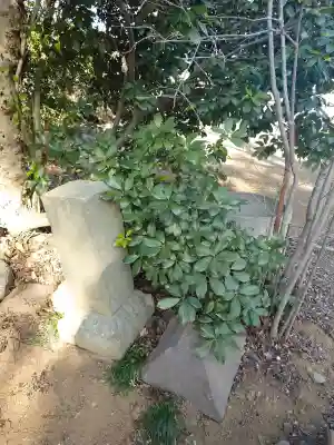 大雷淡洲神社の{uncategorized: "未分類", other: "その他", undefined: "問題あり", building: "その他建物", grave: "お墓", sacred_gate: "鳥居", guardian: "狛犬", statue: "像", buddha: "仏像", history: "歴史", nature: "自然", garden: "庭園", animal: "動物", pagoda: "塔", temizu: "手水舎", mountain_gate: "山門・神門", sanctuary: "本殿・本堂", subordinate: "末社・摂社", art: "芸術", scenery: "景色", jizo: "地蔵", ema: "絵馬", goshuin: "御朱印", omikuji: "おみくじ", items: "授与品その他", amulet: "お守り", goshuincho: "御朱印帳", eats: "食事", festival: "お祭り", votive_dance: "神楽", shichigosan: "七五三参", wedding: "結婚式", experience: "体験その他", initially: "初詣", around: "周辺", anti_infection: "感染症対策"}
