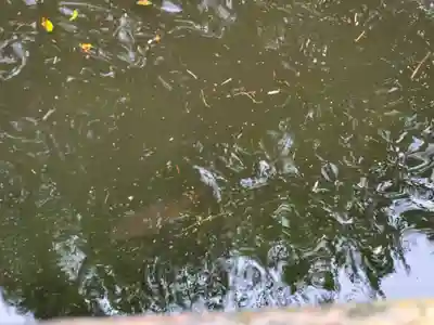 勝姫稲荷神社の周辺