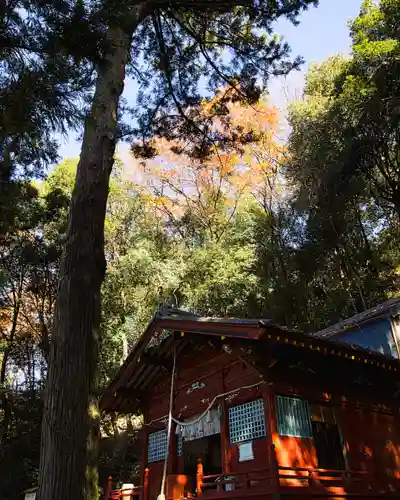 小幡八幡宮(群馬県)