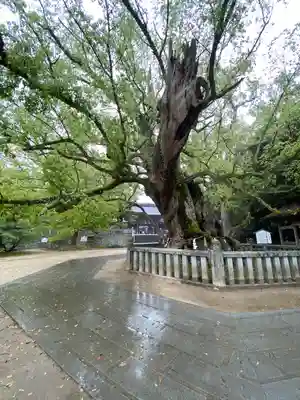 大山祇神社(愛媛県)