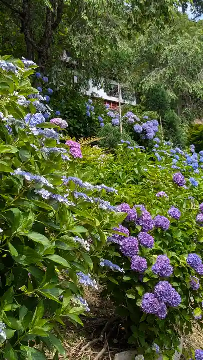 善峯寺(京都府)