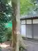 祖母井神社(栃木県)