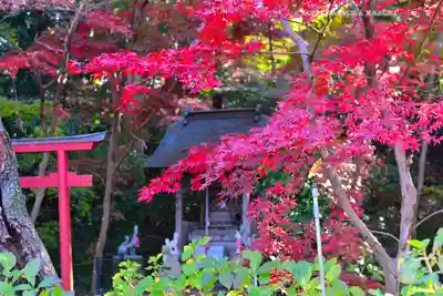 本土寺(千葉県)