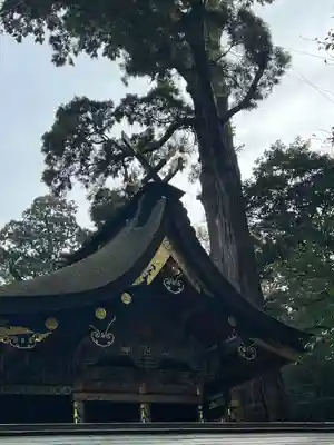 鹿島神宮(茨城県)