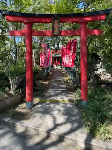 亀岡八幡宮（亀岡八幡神社）の鳥居