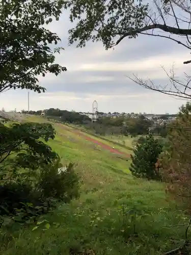氷川神社の周辺