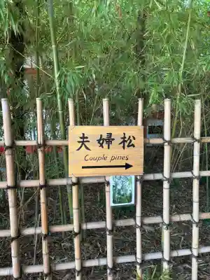 自由が丘熊野神社の{uncategorized: "未分類", other: "その他", undefined: "問題あり", building: "その他建物", grave: "お墓", sacred_gate: "鳥居", guardian: "狛犬", statue: "像", buddha: "仏像", history: "歴史", nature: "自然", garden: "庭園", animal: "動物", pagoda: "塔", temizu: "手水舎", mountain_gate: "山門・神門", sanctuary: "本殿・本堂", subordinate: "末社・摂社", art: "芸術", scenery: "景色", jizo: "地蔵", ema: "絵馬", goshuin: "御朱印", omikuji: "おみくじ", items: "授与品その他", amulet: "お守り", goshuincho: "御朱印帳", eats: "食事", festival: "お祭り", votive_dance: "神楽", shichigosan: "七五三参", wedding: "結婚式", experience: "体験その他", initially: "初詣", around: "周辺", anti_infection: "感染症対策"}