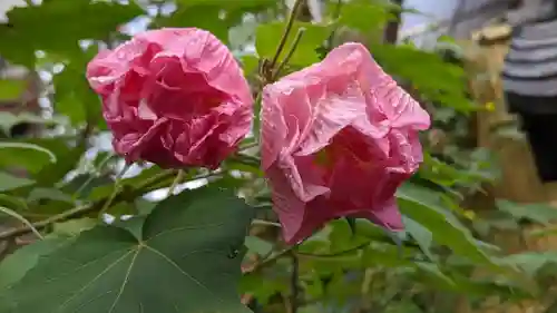 大豊神社(京都府)