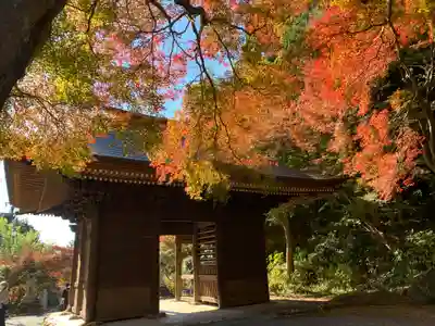 普門寺(切り絵御朱印発祥の寺)の山門・神門