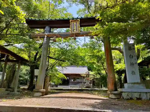 藤白神社の鳥居