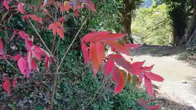 山神社(戸田)の自然