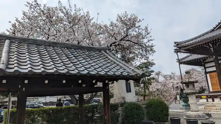 妙蓮寺(京都府)