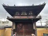 般若寺 ❁コスモス寺❁(奈良県)