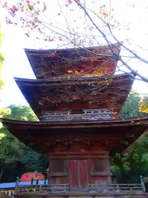 清滝寺徳源院(滋賀県)
