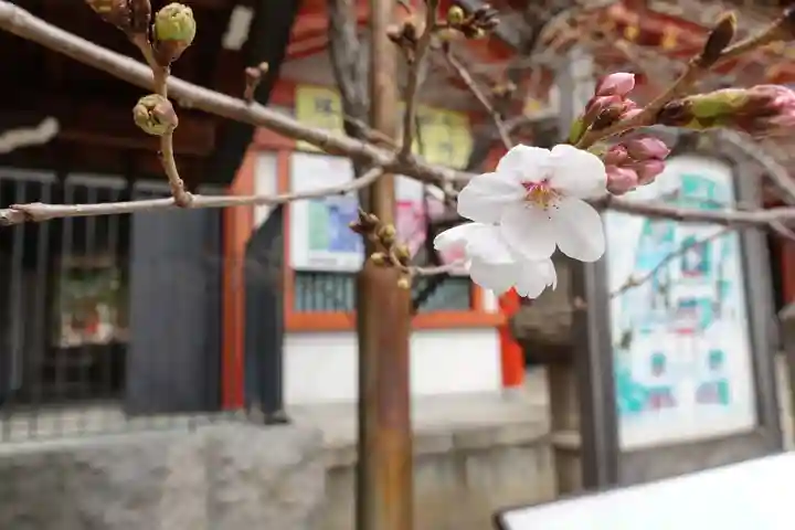 生田神社の自然