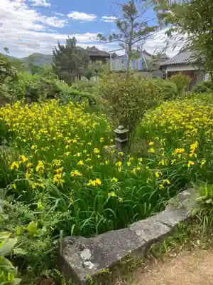 円政寺(山口県)