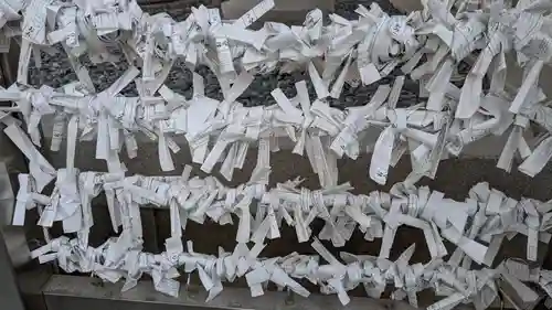 石手寺のおみくじ