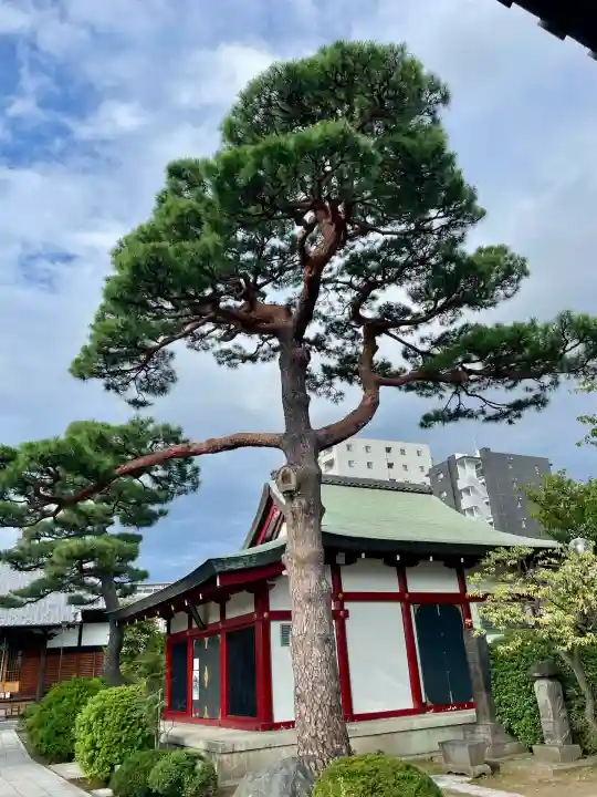 善明寺(東京都)