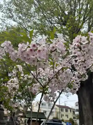 滝野川八幡神社の{uncategorized: "未分類", other: "その他", undefined: "問題あり", building: "その他建物", grave: "お墓", sacred_gate: "鳥居", guardian: "狛犬", statue: "像", buddha: "仏像", history: "歴史", nature: "自然", garden: "庭園", animal: "動物", pagoda: "塔", temizu: "手水舎", mountain_gate: "山門・神門", sanctuary: "本殿・本堂", subordinate: "末社・摂社", art: "芸術", scenery: "景色", jizo: "地蔵", ema: "絵馬", goshuin: "御朱印", omikuji: "おみくじ", items: "授与品その他", amulet: "お守り", goshuincho: "御朱印帳", eats: "食事", festival: "お祭り", votive_dance: "神楽", shichigosan: "七五三参", wedding: "結婚式", experience: "体験その他", initially: "初詣", around: "周辺", anti_infection: "感染症対策"}
