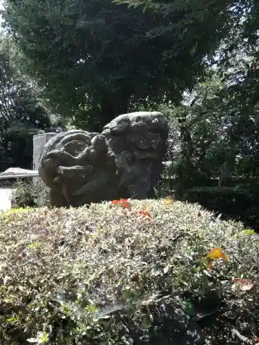 香取神社（関宿香取神社）の狛犬