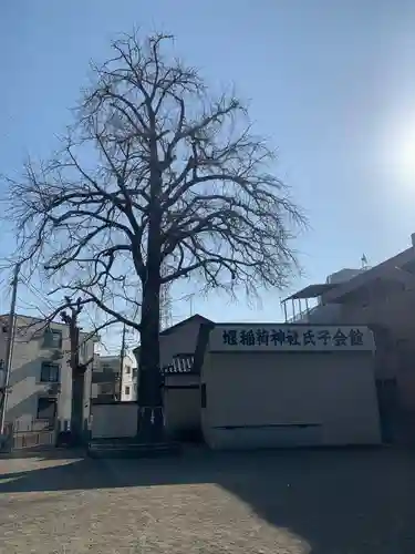 稲荷神社の自然