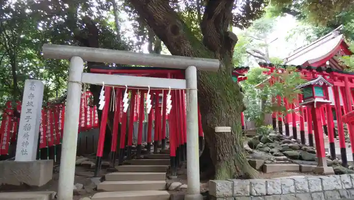 乃木神社の鳥居