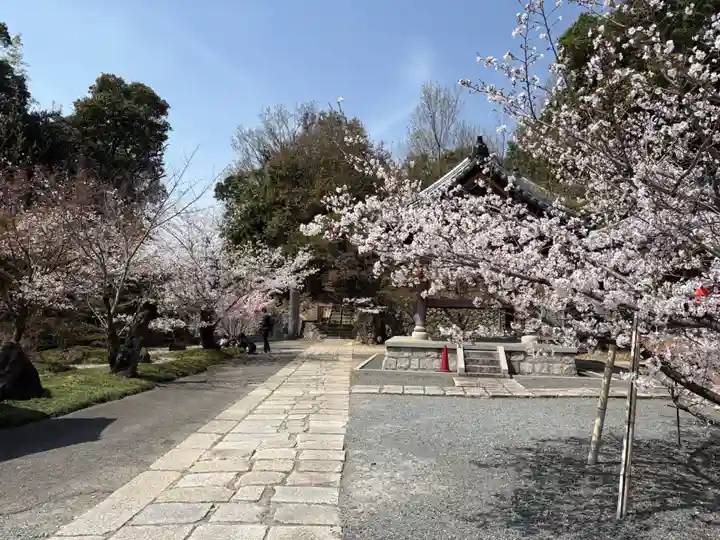 安岡寺(大阪府)