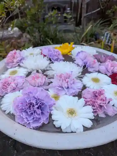 法輪寺(東京都)