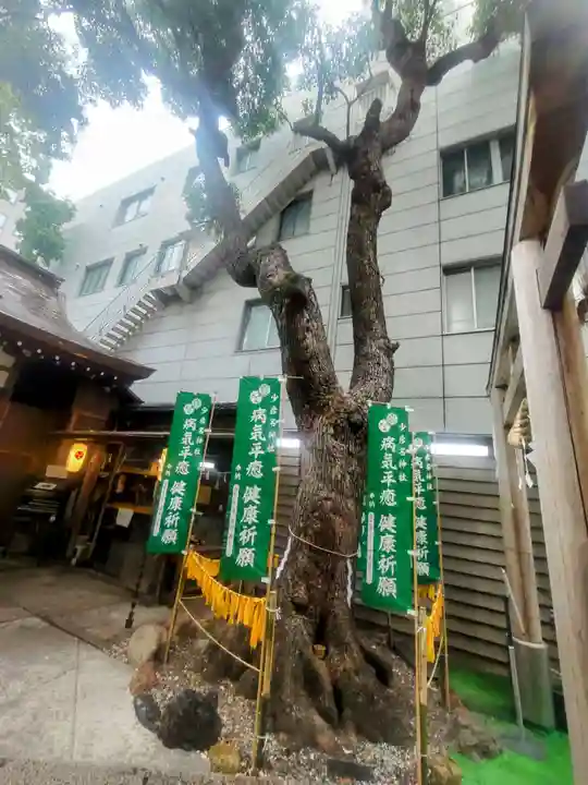 少彦名神社(大阪府)