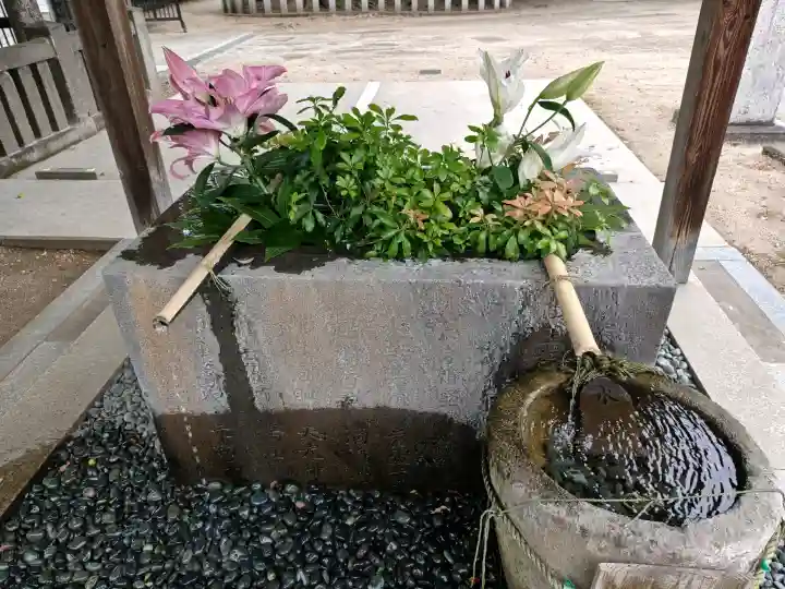 久留米宗社 日吉神社の{uncategorized: "未分類", other: "その他", undefined: "問題あり", building: "その他建物", grave: "お墓", sacred_gate: "鳥居", guardian: "狛犬", statue: "像", buddha: "仏像", history: "歴史", nature: "自然", garden: "庭園", animal: "動物", pagoda: "塔", temizu: "手水舎", mountain_gate: "山門・神門", sanctuary: "本殿・本堂", subordinate: "末社・摂社", art: "芸術", scenery: "景色", jizo: "地蔵", ema: "絵馬", goshuin: "御朱印", omikuji: "おみくじ", items: "授与品その他", amulet: "お守り", goshuincho: "御朱印帳", eats: "食事", festival: "お祭り", votive_dance: "神楽", shichigosan: "七五三参", wedding: "結婚式", experience: "体験その他", initially: "初詣", around: "周辺", anti_infection: "感染症対策"}