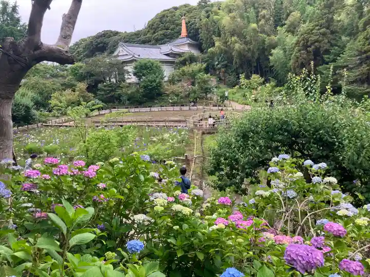 本土寺(千葉県)