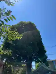 麻布氷川神社(東京都)