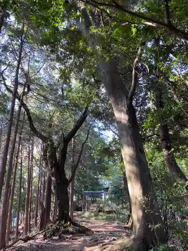 白山神社の鳥居