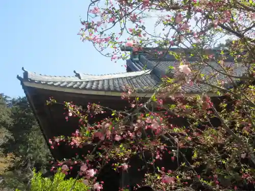 妙本寺のその他建物