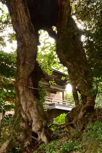 佐比賣山神社(島根県)