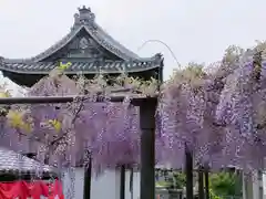 竹鼻別院(岐阜県)